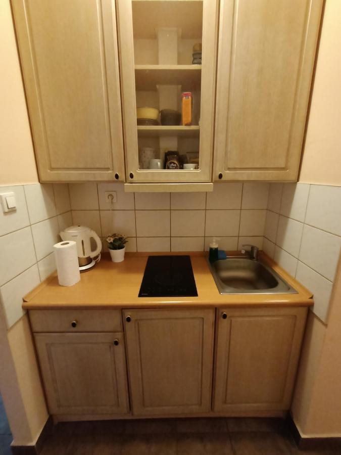 Pokoje Pod Swierkiem スバジェンツ エクステリア 写真